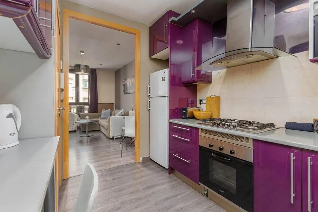 One Bedroom Apartment In Barcelona City Center
